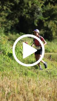 BIB:  <button type="button" onclick="openModal(26565594)" class="btn btn-primary btn-sm float-right" data-toggle="modal" data-target=".modal-high-quality">
                <i class="fa fa-download"></i> Download
                </button>